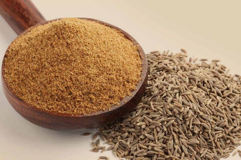 Quelle est la durée de conservation du cumin en poudre (cumin moulu