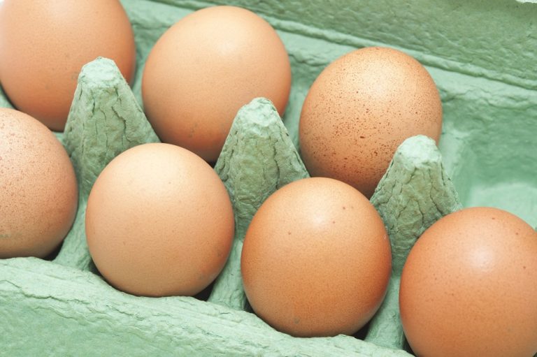 Quelle est la durée de conservation des œufs ? Expirata.fr
