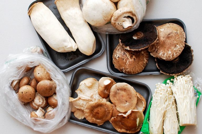 Est-ce Qu'on Peut Congeler Des Champignons Crus