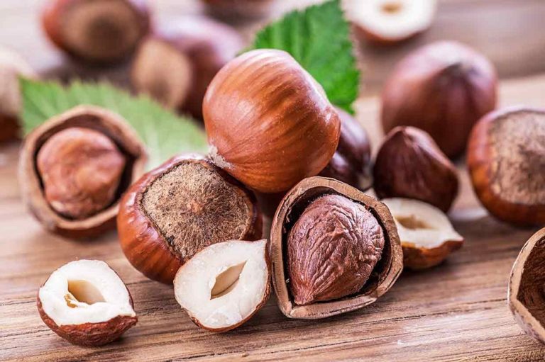Comment congeler des noisettes ? Expirata.fr